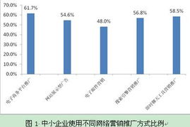 北京中小企业网站推广的策略与价值——基于CNNIC互联网研究的启示